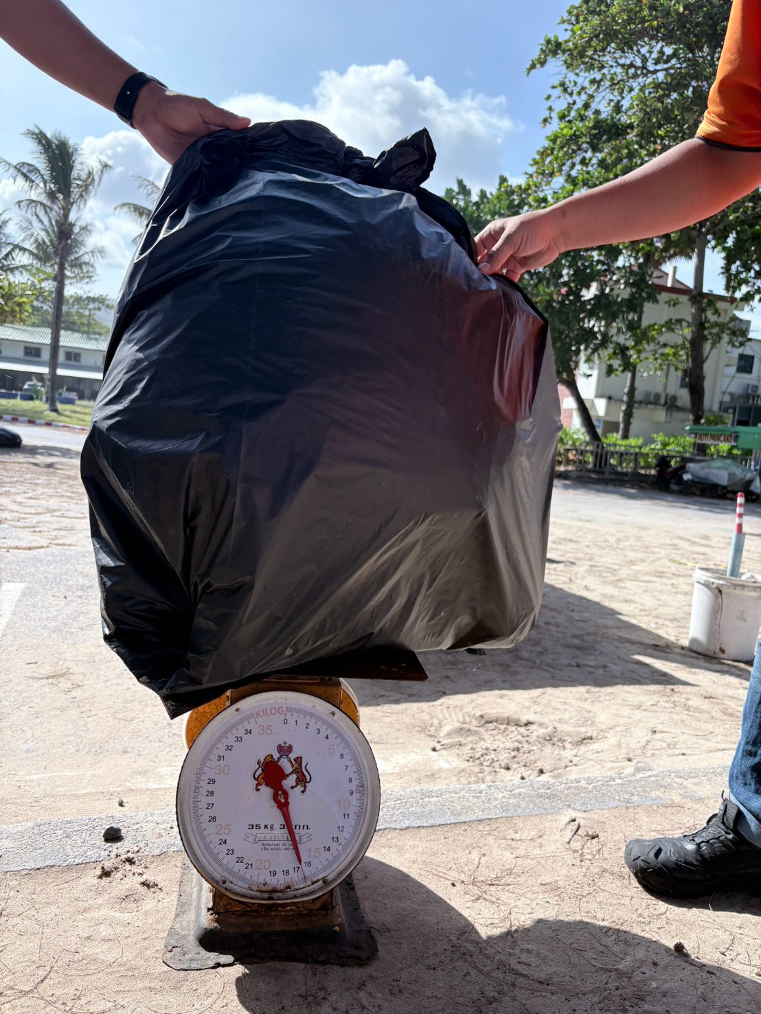 Volunteers weighing a bag of collected beach waste on a hanging scale
