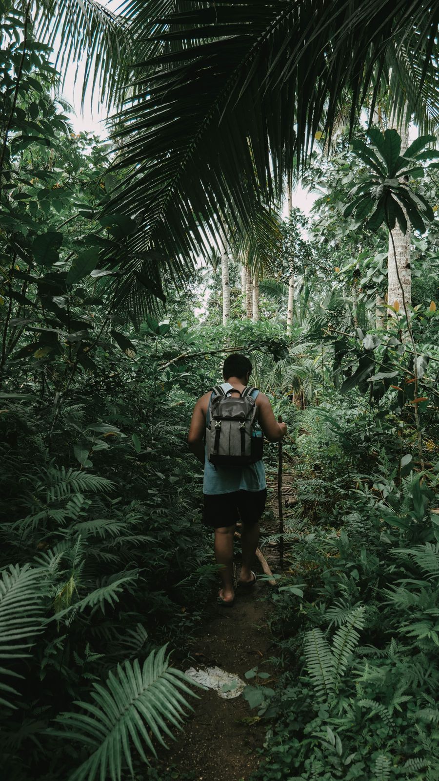 Hikers on the forest trail between Bang Wan Waterfall and Bang Niew Dam Reservoir, Phuket